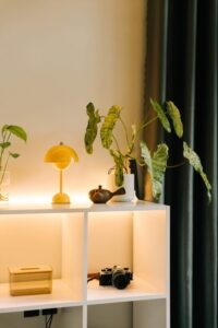 Simple Ways to Create a Cozy and Inviting Home Environment on a Budget