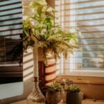 Tips for Creating a Cozy and Functional Home Workspace