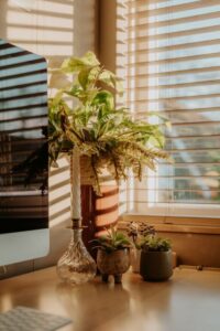 Tips for Creating a Cozy and Functional Home Workspace